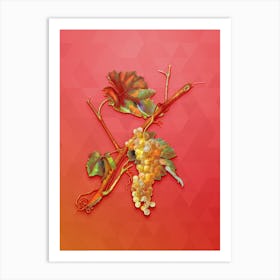 Vintage Vermentino Grapes Botanical Art on Fiery Red n.0173 Art Print