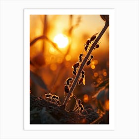 Ant Colony Collaboratively Foraging Under The Glowing Blaze Of A Setting Sun With Elongated Shadows 2 1 Art Print