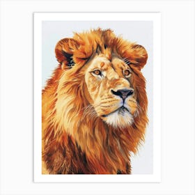 Barbary Lion Portrait Close Up Clipart 1 Art Print