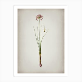 Vintage Autumn Onion Botanical on Parchment n.0671 Art Print