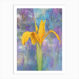 Yellow Iris 1 Art Print