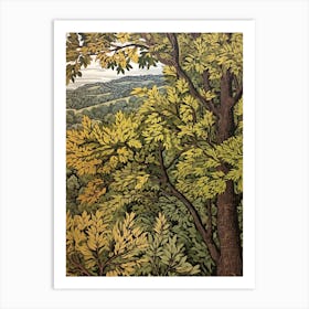 Green Ash Vintage Autumn Tree Print  Art Print