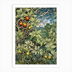 Apricot Tree Art Print