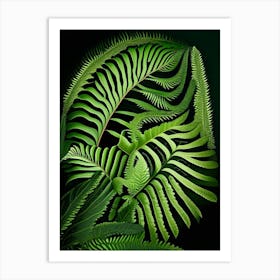 Southern Shield Fern Vibrant Art Print