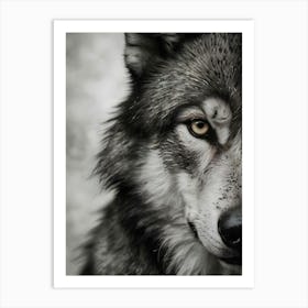 A close-up, highly detailed black and white portrait of a wolf, showcasing its piercing eyes and textured fur. Art Print