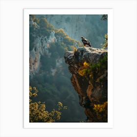 Eagle Perched On Cliff Art Print