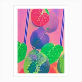 Cherimoya 1 Risograph Retro Poster Fruit Art Print