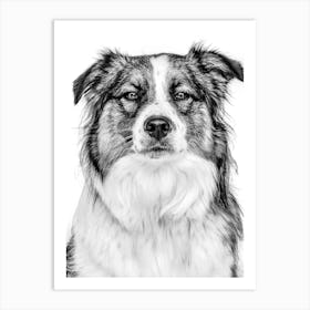 Black And White Dog Portrait 1 Art Print