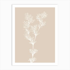 Lily Of The Valley 10 Art Print