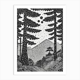 Pine Trees In The Forest Art Print