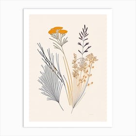 Caraway Spices And Herbs Minimal Line Drawing 4 Art Print