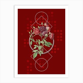 Vintage Ternaux Rose Bloom Botanical with Geometric Line Motif and Dot Pattern n.0074 Art Print