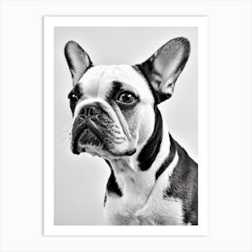 French Bulldog B&W Pencil Dog Art Print