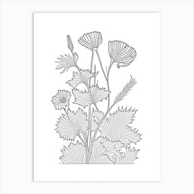 Maca Herb William Morris Inspired Line Drawing 1 Art Print