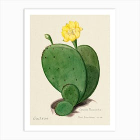 Indian Fig Opuntia Cactus, Familie Der Cacteen Art Print