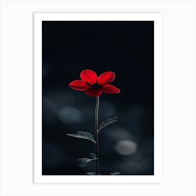 Single Red Flower 5 Art Print