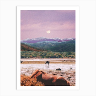 Peaceful Evening In The Nature With Horses Art Print
