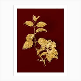 Vintage Black Haw Botanical in Gold on Red n.0574 Art Print