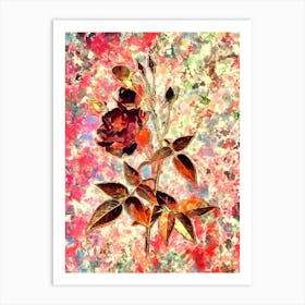 Impressionist Common Rose of India Botanical Painting in Blush Pink and Gold Art Print