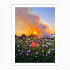 A Multitude Of Flowers Blossoming In The Center Their Petals Transitioning From Yellow To Pink To W (6) Art Print