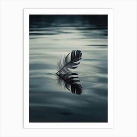 Feather In Water 1 Art Print