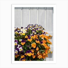Colourful pansies of the summerhouse Art Print