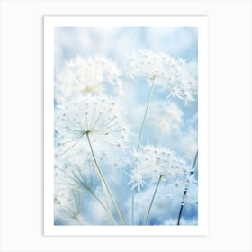 Frosty Botanical Queen Annes Lace 3 Art Print