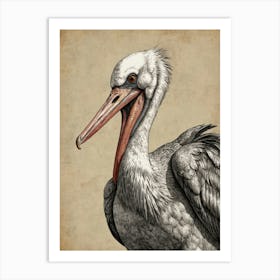 Pelican 12 Art Print