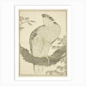 Hawk, From The Picture Book Of Realistic Paintings, Katsushika Hokusai Art Print