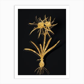 Vintage Streambank Spiderlily Botanical in Gold on Black Art Print