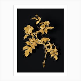 Vintage Pink Alpine Rose Botanical in Gold on Black n.0550 Art Print