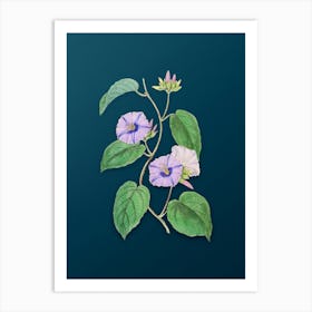 Vintage Hoary Jacquemontia Flower Botanical Art on Teal Blue n.0640 Art Print