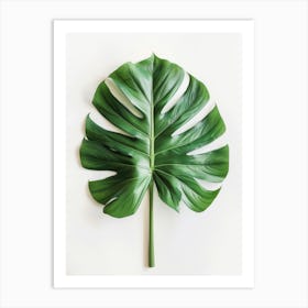 Monstera Leaf 5 Art Print