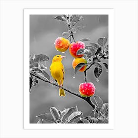 The Bird On The Apple Tree (2) Art Print