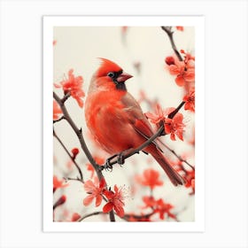 Cardinal In Cherry Blossoms Art Print