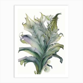 Staghorn Fern Watercolour Art Print