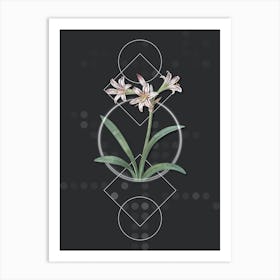 Vintage Amaryllis Botanical with Geometric Line Motif and Dot Pattern n.0364 Art Print