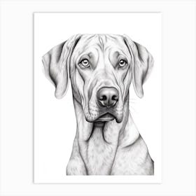 Rhodesian Ridgeback Dog, Line Drawing 4 Art Print