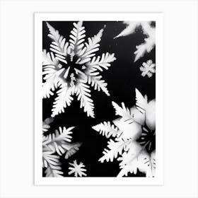 Delicate, Snowflakes, Black & White 3 Art Print