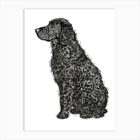 Curly Coated Retriever Dog Line Sketch Art Print