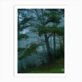 Misty Forest 20191019 20pub Art Print