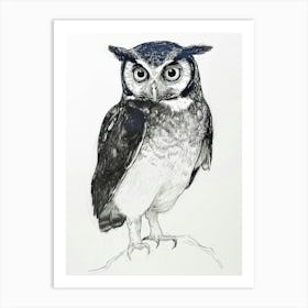 Spectacled Owl Drawing 3 Art Print