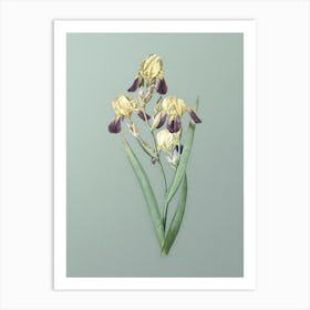 Vintage Elder Scented Iris Botanical Art on Mint Green n.0964 Art Print