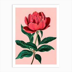 Peony Canvas Print Art Print