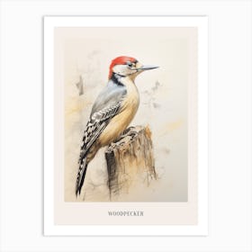 Vintage Bird Drawing Woodpecker 3 Poster Art Print
