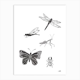 Black and White Insects Art Print