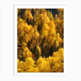 Autumn Forest 80 Art Print