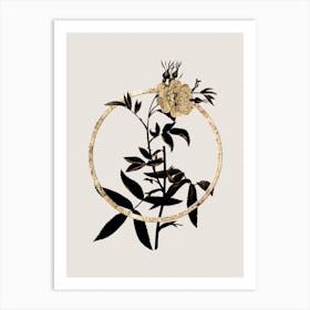 Gold Ring White Rose of York Glitter Botanical Illustration n.0133 Art Print