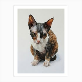 Cornish Rex Painting 2 Art Print