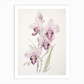 Orchids Flower Vintage Botanical 2 Art Print